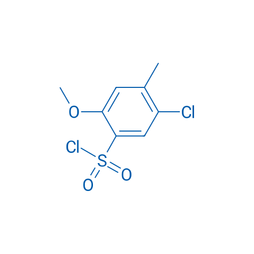 5-Chloro-2-methoxy-4-methylbenzene-1-sulfonyl chloride 1g