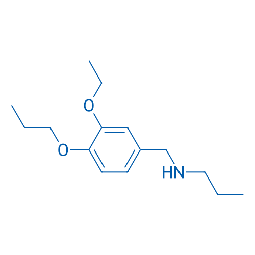 [(3-Ethoxy-4-propoxyphenyl)methyl](propyl)amine 1g