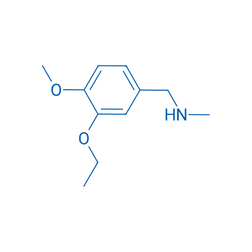 1-(3-Ethoxy-4-methoxyphenyl)-N-methylmethanamine 250mg