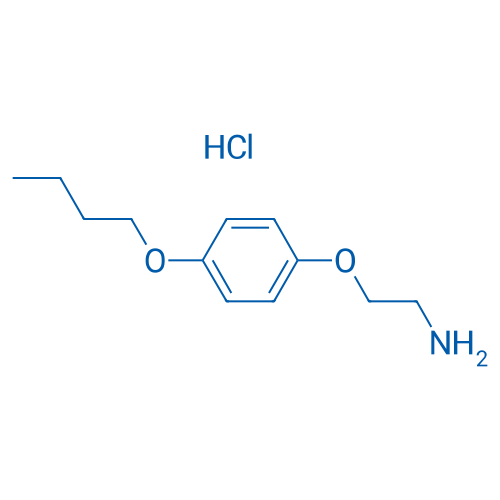 2-(4-Butoxyphenoxy)ethanamine hydrochloride 1g