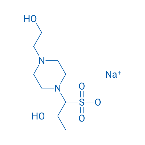 HEPPSO sodium 25g