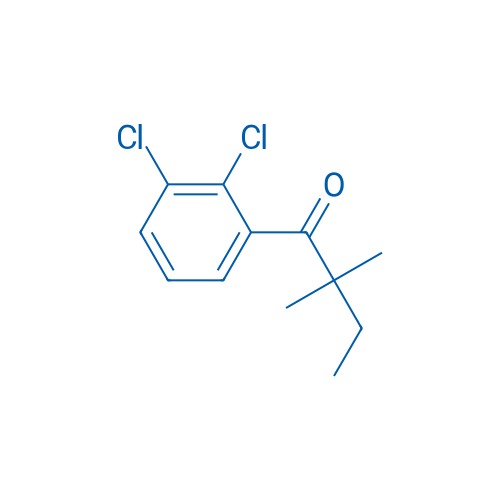 2',3'-Dichloro-2,2-dimethylbutyrophenone 1g