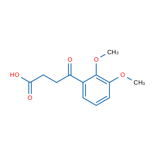 4-(2,3-Dimethoxyphenyl)-4-oxobutyric acid 1g