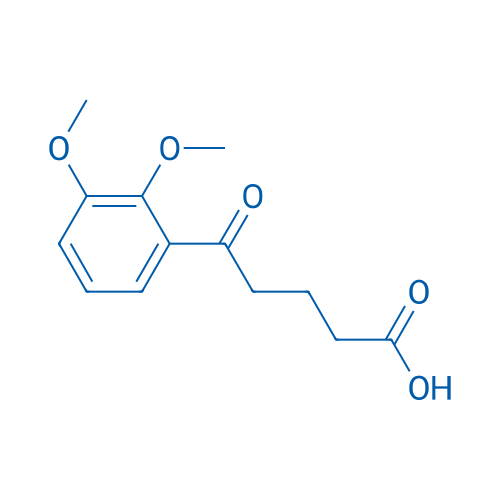 5-(2,3-Dimethoxyphenyl)-5-oxovaleric acid 1g