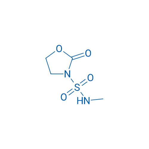 N-Methyl-2-oxooxazolidine-3-sulfonamide 1g