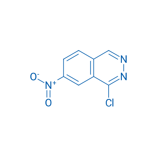 1-Chloro-7-nitrophthalazine 1g