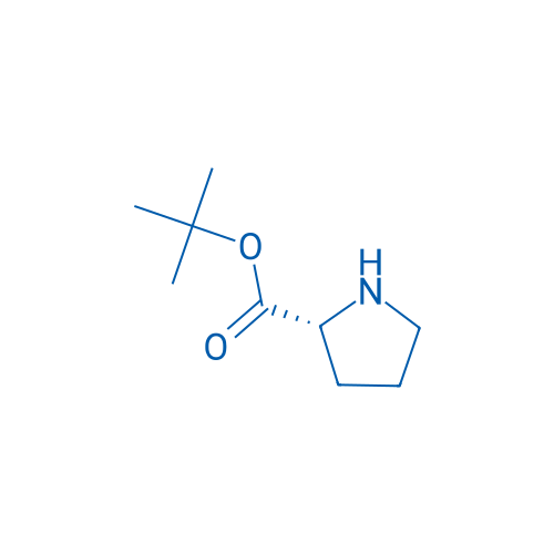H-D-Pro-OtBu 250mg