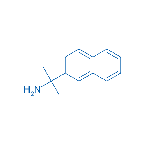 2-(Naphthalen-2-yl)propan-2-amine 1g