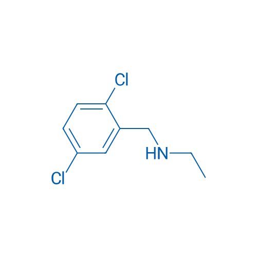 N-(2,5-Dichlorobenzyl)ethanamine 1g
