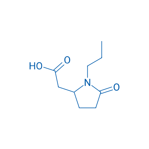 2-(5-Oxo-1-propylpyrrolidin-2-yl)acetic acid 1g