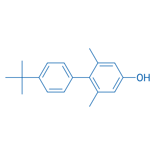 4'-tert-Butyl-2,6-dimethylbiphenyl-4-ol 250mg