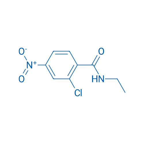 2-CHloro-n-ethyl-4-nitrobenzamide 1g
