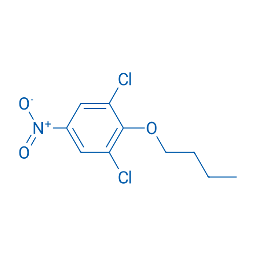 2-Butoxy-1,3-dichloro-5-nitrobenzene 1g