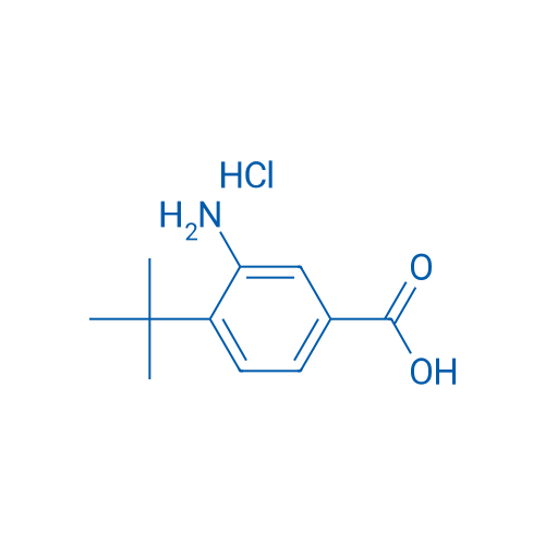 3-amino-4-(tert-butyl)benzoic acid hydrochloride 250mg