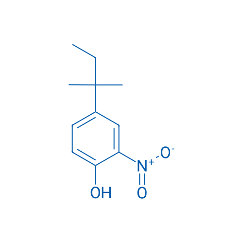2-Nitro-4-tert-pentylphenol 1g