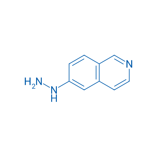 6-Hydrazinylisoquinoline 25g