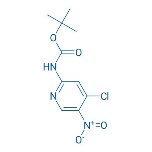 tert-Butyl (4-chloro-5-nitropyridin-2-yl)carbamate 1g