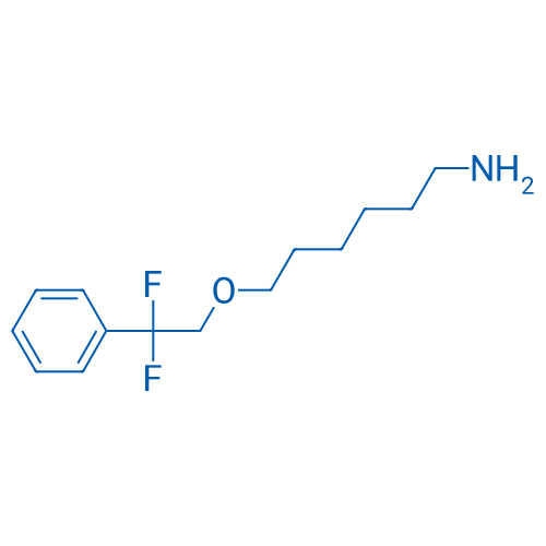 6-(2,2-Difluoro-2-phenylethoxy)hexan-1-amine 250mg