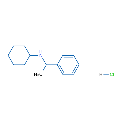 N-(1-Phenylethyl)cyclohexanamine hydrochloride 1g