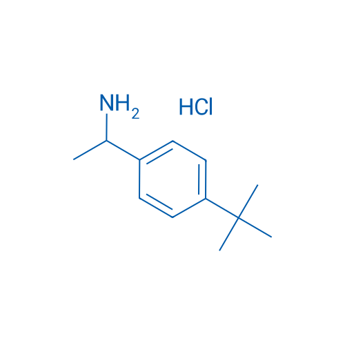 1-(4-(tert-Butyl)phenyl)ethan-1-amine hydrochloride 1g