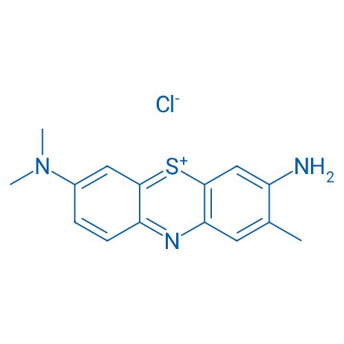 Toluidine Blue 25g