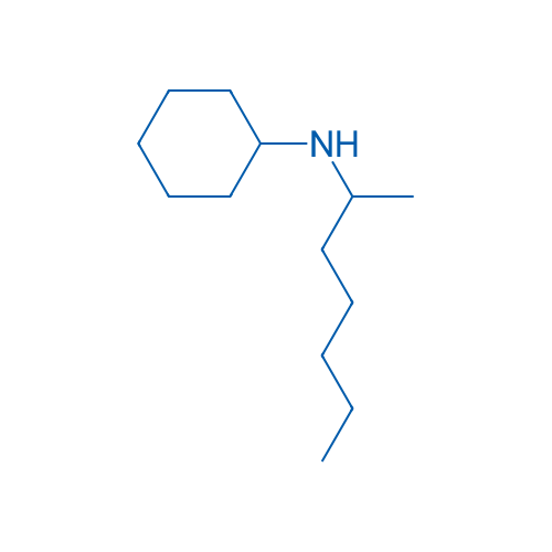 N-cyclohexyl-2-aminoheptane 10g