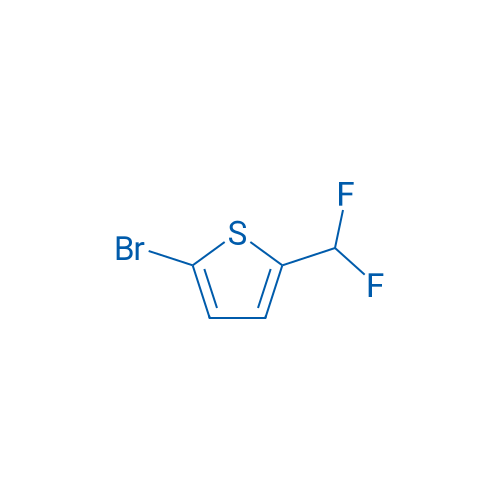 2-Bromo-5-(difluoromethyl)thiophene 250mg