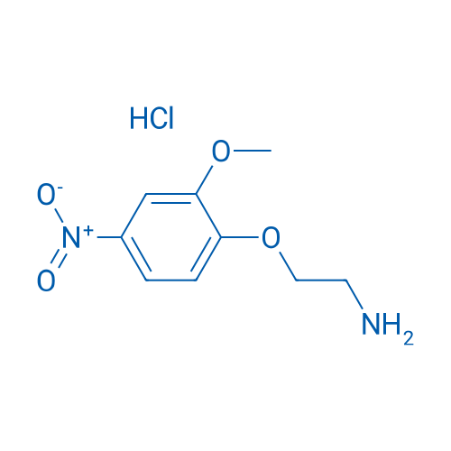 2-(2-Methoxy-4-nitrophenoxy)ethanamine hydrochloride 5g