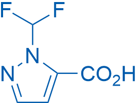 1-(Difluoromethyl)-1H-pyrazole-5-carboxylic acid 100mg