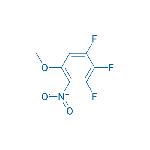 1,2,3-Trifluoro-5-methoxy-4-nitrobenzene 1g