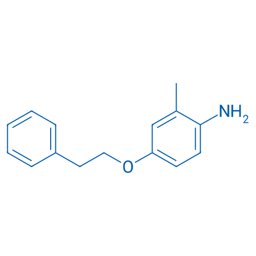 2-Methyl-4-phenethoxyaniline 1g