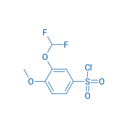 3-(Difluoromethoxy)-4-methoxybenzenesulfonyl chloride 1g