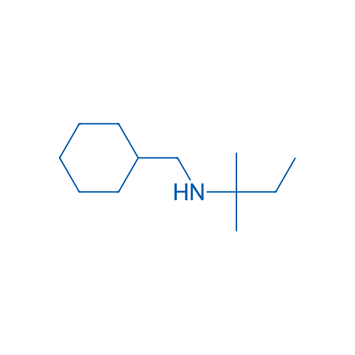 (Cyclohexylmethyl)(2-methylbutan-2-yl)amine 10g