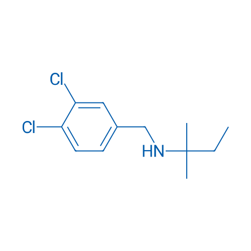 [(3,4-Dichlorophenyl)methyl](2-methylbutan-2-yl)amine 5g