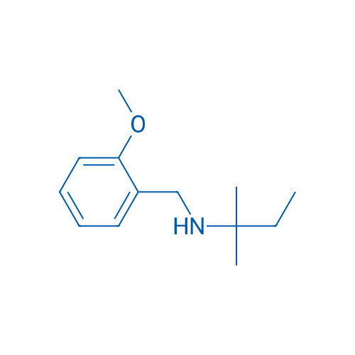 [(2-Methoxyphenyl)methyl](2-methylbutan-2-yl)amine 5g