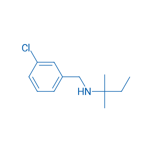 [(3-Chlorophenyl)methyl](2-methylbutan-2-yl)amine 1g