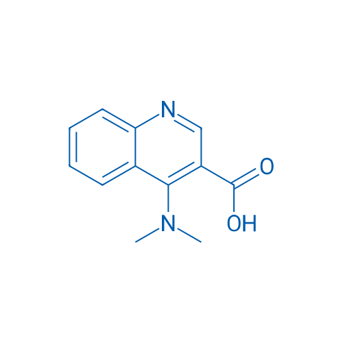 4-(Dimethylamino)quinoline-3-carboxylic acid 1g