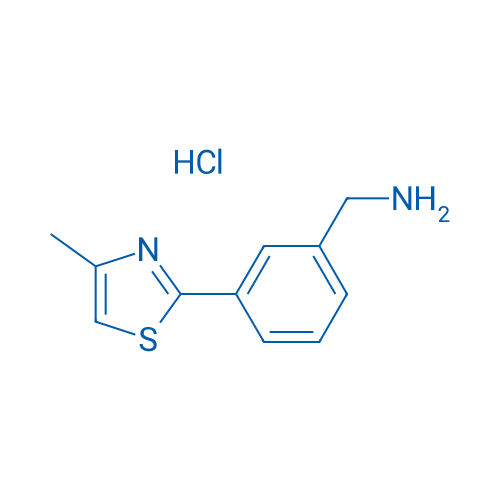 (3-(4-Methylthiazol-2-yl)phenyl)methanamine hydrochloride 1g