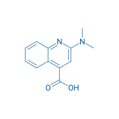 2-(Dimethylamino)quinoline-4-carboxylic acid 1g