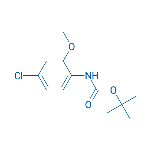 tert-Butyl (4-chloro-2-methoxyphenyl)carbamate 1g
