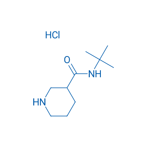 N-(tert-Butyl)piperidine-3-carboxamide hydrochloride 1g
