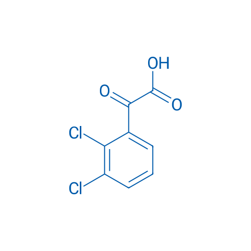 2-(2,3-Dichlorophenyl)-2-oxoacetic acid 1g