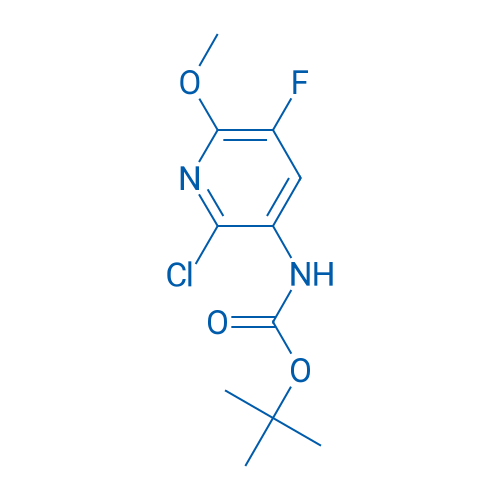 tert-Butyl (2-chloro-5-fluoro-6-methoxypyridin-3-yl)carbamate 1g