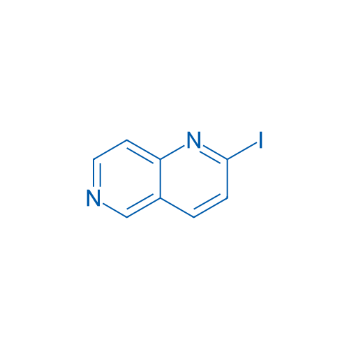 2-Iodo-1,6-naphthyridine 1g