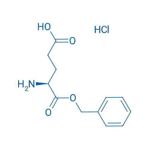 H-Glu-Obzl·HCl 1g
