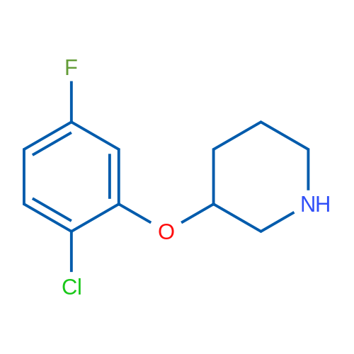 3-(2-Chloro-5-fluorophenoxy)piperidine 1g