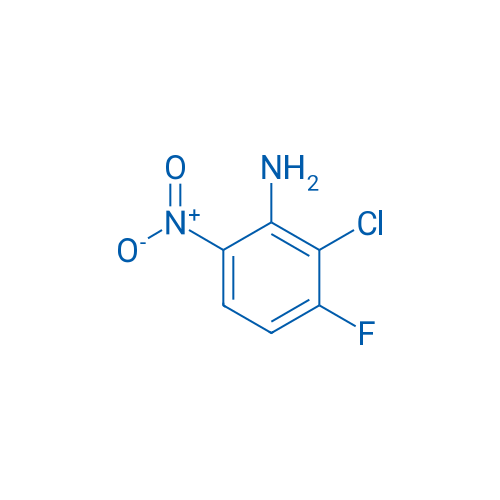 2-Chloro-3-fluoro-6-nitroaniline 10g