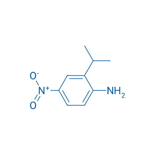 2-Isopropyl-4-nitroaniline 250mg
