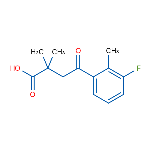 4-(3-Fluoro-2-methylphenyl)-2,2-dimethyl-4-oxobutanoic acid 1g
