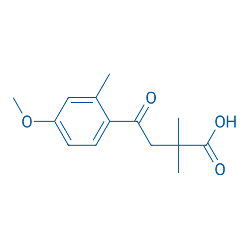 4-(4-Methoxy-2-methylphenyl)-2,2-dimethyl-4-oxobutanoic acid 1g
